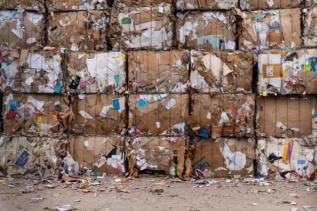 Can you build a $30 million empire on trash?